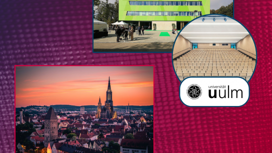 Hosted by University of Ulm, the QSolid partners meet for the 4th Collaborative Meeting